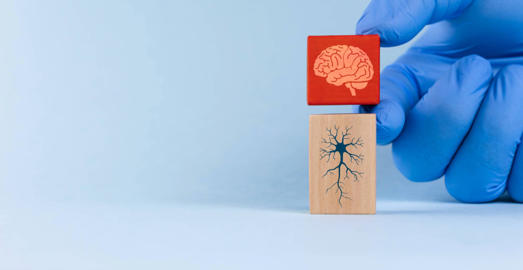 Curso Mecanismos de la neurodegeneración y enfoques terapéuticos